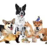 Mieterverein Suhl und Umgebung e.V.